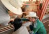 Refuerza Nuevo León inspección de ganado para prevenir ingreso de Gusano Barrenador