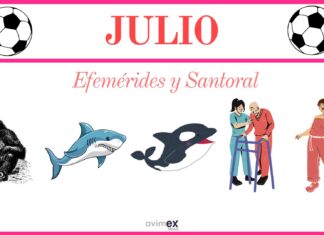 ¿Qué conmemoramos y festejamos este 14 de Julio y cuál es el Santoral?