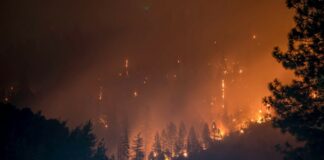 México envía 104 brigadistas a Canadá para apoyar en el combate a incendios forestales
