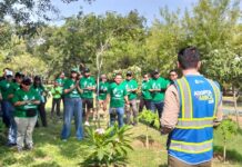 Realiza Gobierno de Monterrey jornada de forestación en el Parque España por su 59 aniversario