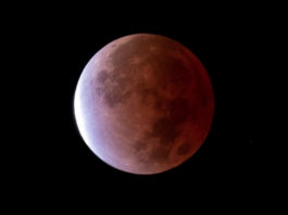 Eclipse parcial de Luna iluminará el cielo de México esta noche