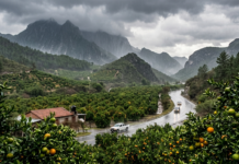 Se esperan lluvias para la tarde de este miércoles en Nuevo León