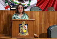 PRI busca poner fin a zanjas y obras inconclusas en calles de Nuevo León