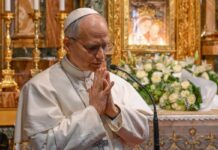 El papa León XIV reanuda sus labores desde el hospital tras exitosa cirugía pulmonar