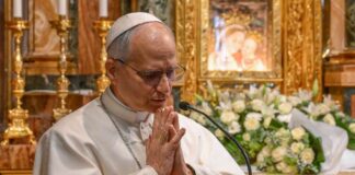 El papa León XIV reanuda sus labores desde el hospital tras exitosa cirugía pulmonar