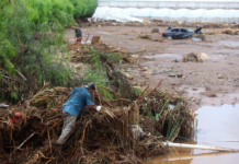 Tormenta tropical Rachel deja ocho muertos en Ensenada; cuatro víctimas eran menores