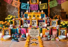 Día de Muertos para Mascotas: la tradición moderna que abre los festejos de noviembre en México