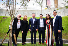Secretaría de Medio Ambiente y Galerías Monterrey arborizan estacionamiento