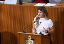 Congreso exige investigar deslaves en obras del Parque Lineal y Línea 4